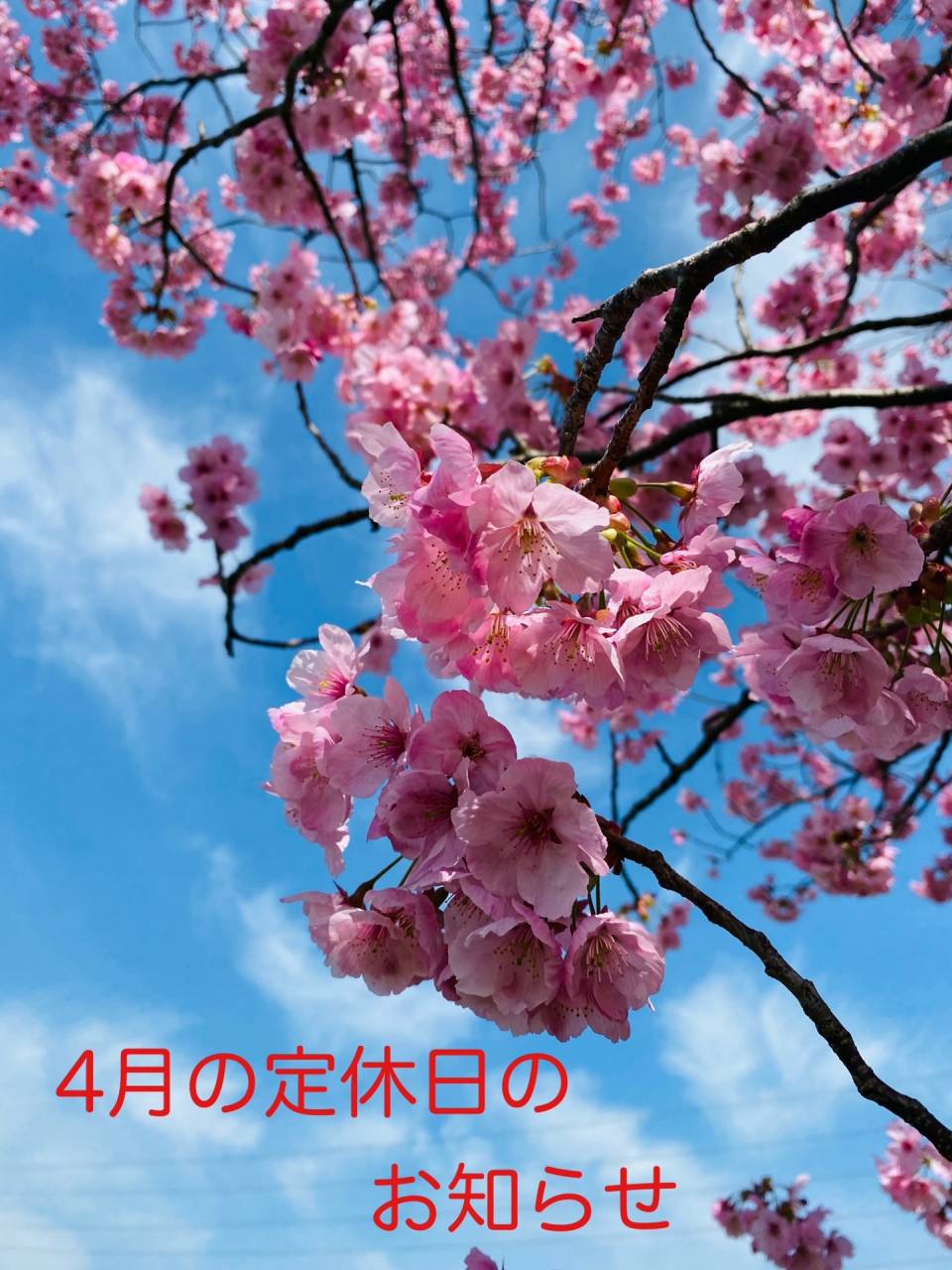 広島市西区のエステサロン優菜です！4月の定休日のお知らせです。