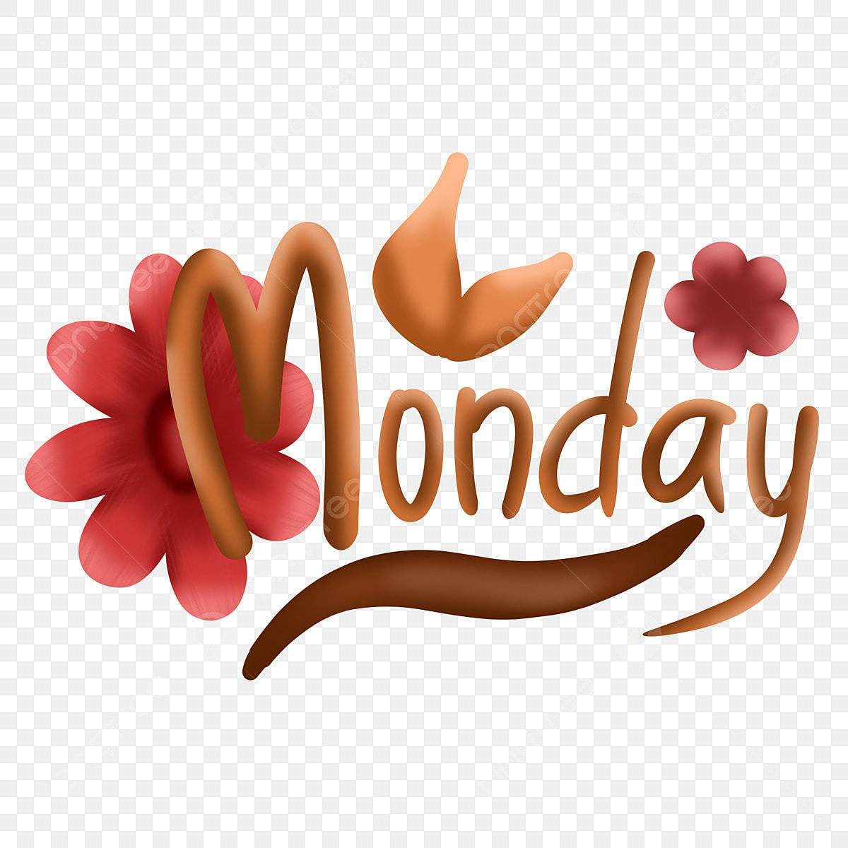 広島市西区のエステサロン優菜です！月曜日もご予約可能に！