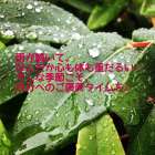 広島市西区のエステサロン優菜です！梅雨時期のケア